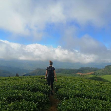 Unique View Nuwaraeliya Hotel Нувара Елия Екстериор снимка