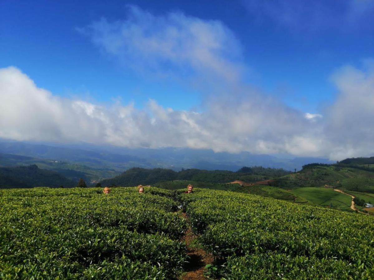 Unique View Nuwaraeliya Hotel Нувара Елия Екстериор снимка