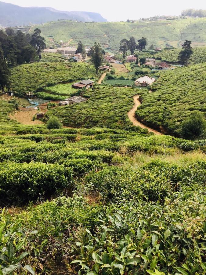 Unique View Nuwaraeliya Hotel Нувара Елия Екстериор снимка